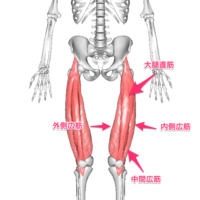 朝起きると腰が痛い人は必見! 痛みを消す方法